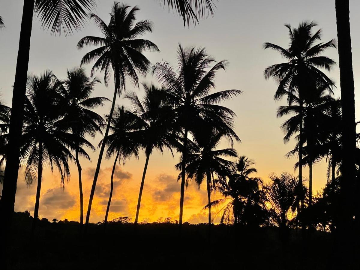 Pousada Horizonte Azul Velha Boipeba Экстерьер фото